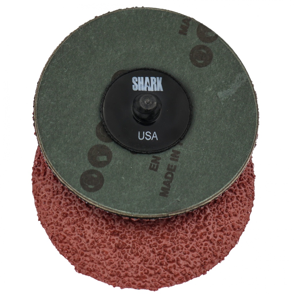3in Sanding Disc 50G